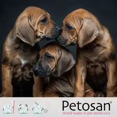 Petosan - Plague Control 75gr - 4