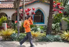 House of Marley langattomat sankakuulokkeet Positive Vibration Frequency, rasta/puu - 7
