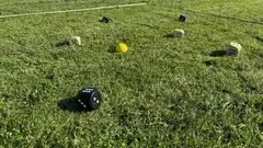 Bex Sport peli 5Star Family - 4