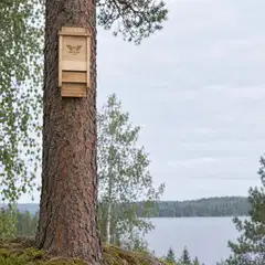 WildYard Big Bat Box lepakkopönttö, 1 kammio, setripuu, luonnonvärinen - 3