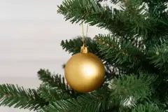 Winteria Joulukuusi Grande 155 cm - 6