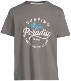House miesten t-paita Palm Beach 195H152613 - Dark grey - 2