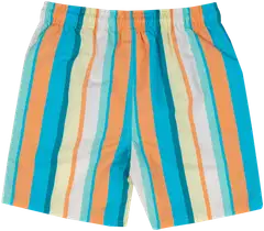 House lasten uimashortsit 235H012606 - Multicolor - 2