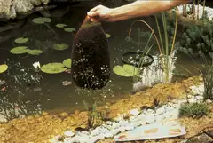 Lampiturve 10 l AquaVital - 6