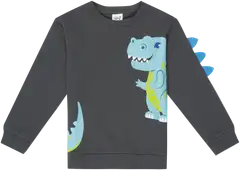 Ciraf lasten collegepusero Dino 25pc260215 - 19-4209tcx enigma - 1