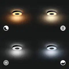Philips Hue Xamento -kattovalaisin kylpyhuoneeseen 33W 2000-6500K 2350LM keskikoko musta - 10