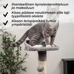 Trekker kissan kiipeilypuu Home 112 cm harmaa - 5