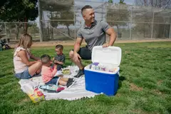 Igloo Laguna 27 l -kylmälaukku sininen - 5