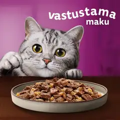 Whiskas 1+ Pure Delight valitut suikaleet hyytelössä (12 x 85 g) - 2