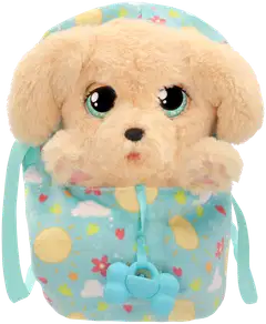 Baby Paws Labradori - 5