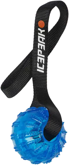 Icepeak Pet geelipallo kädensijalla sininen - 1