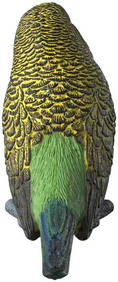Schleich Undulaatti - 2