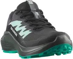 Salomon naisten maastojuoksukengät Alphaglide GTX - phantom/urban chic/waterfall - 2