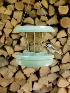 Swissinno Lintulauta Zurich talipalloille - 6