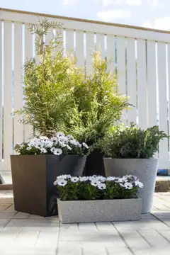 4Living Termoruukku Balcony 50 cm musta - 3