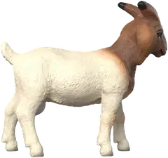 Schleich Buurivuohi - 3