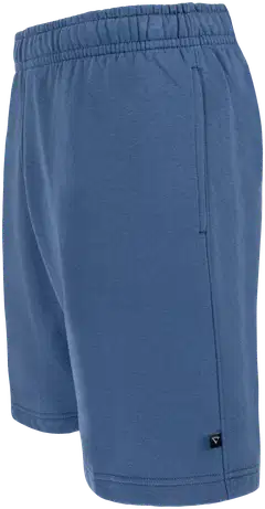 Cheetah miesten collegeshortsit CMS3707 - VINTAGE INDIGO - 2