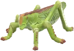 Schleich Hyönteiset Löytösetti - 3