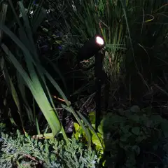 LightsOn spottivalaisin Astro - 5