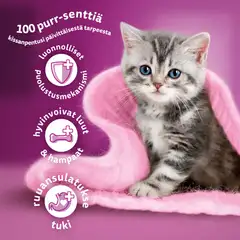 Whiskas Junior sis. Kanaa (800 g) - 5