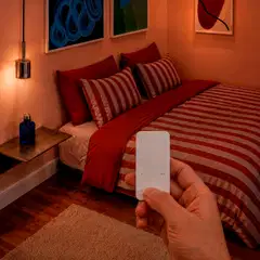 Philips Smart Lighting himmenninkytkin - 6