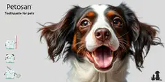 Petosan - Kananmakuinen hammastahna koirille - 4