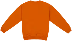 Cheetah miesten collegepusero CMT4305 - Pumpkin spice - 2