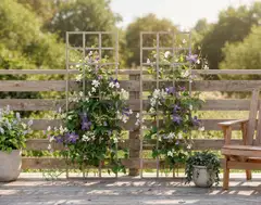 Köynnösritilä, vaalean harmaa, 60x180cm - 5