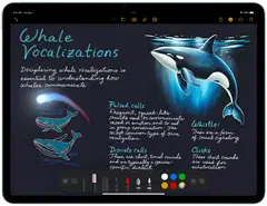 Apple iPad Air11 M4 wifi cellular 128GB tähtiharmaa - 3