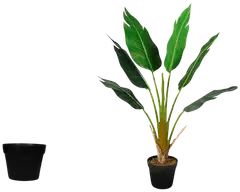 Lykke tekokasvi strelitzia tree 90cm - 4