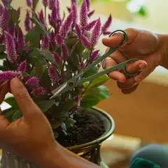 Fiskars viherkasvien trimmaussakset telineellä - 11