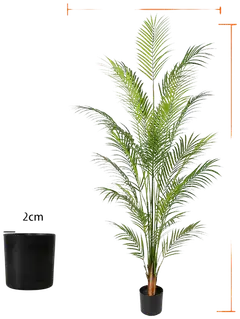 Lykke tekokasvi areca palm 150cm - 5