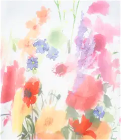 House naisten T-paita 213H261401 - white front print - 3