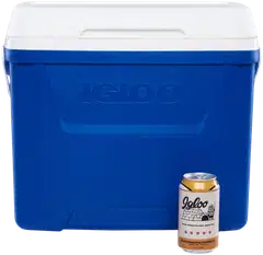 Igloo Laguna 27 l -kylmälaukku sininen - 4