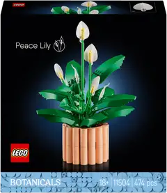 LEGO® Botanicals 11504 Viirivehka - 6