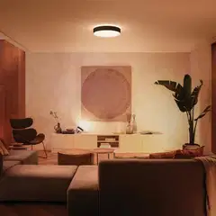 Philips Hue Enrave -kattovalaisin 34W 2200-6500K 4300LM Large musta - 5