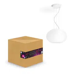 Philips Hue Flourish -riippuvalaisin 5W 2000-6500K 470LM valkoinen - 3