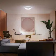 Philips Hue Infuse -kattovalaisin 53W 2000-6500K 3700LM iso valkoinen - 9