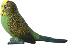Schleich Undulaatti - 3