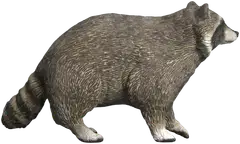 Schleich Pesukarhu - 3