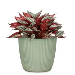 Scheurich Ruukku 842/19 jaden vihreä - 2