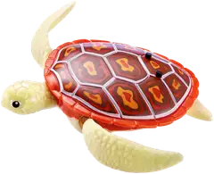 Robo Alive Robotic-Swimming Turtle 2-pack - 6