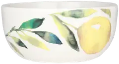 Kultakeramiikka kulho Sitruuna 6 dl - 1