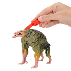 Stranger Things Dissection Kit - 5