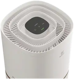 Electrolux ilmanpuhdistin EPO50571SW - 2