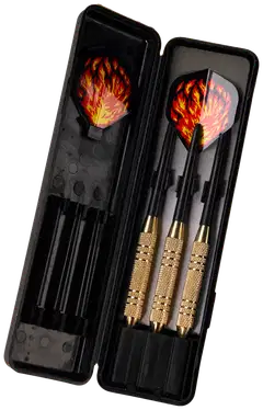 Gamesson tikat Beast Steeltip Darts 20gr - 2