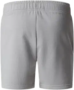 The North Face lasten collegeshortsit 0A8GR7A911 - Meld grey - 2