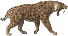 Schleich Smilodon - 4