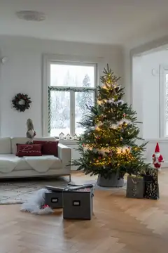 Winteria Joulukuusi Elite 215 cm - 5