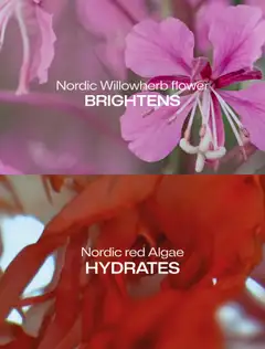 Lumene Invisible Illumination Dewy Glow Kosteuttava meikinkiinnityssuihke 100 ml - 3